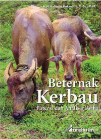 Beternak Kerbau