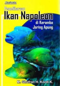 Pemeliharaan Ikan Napoleon Di Keramba Jaring Apung